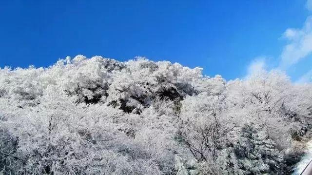 视频 | 首届长江摄影大展开幕 “万里长江绘宏图”展现长江新图景
