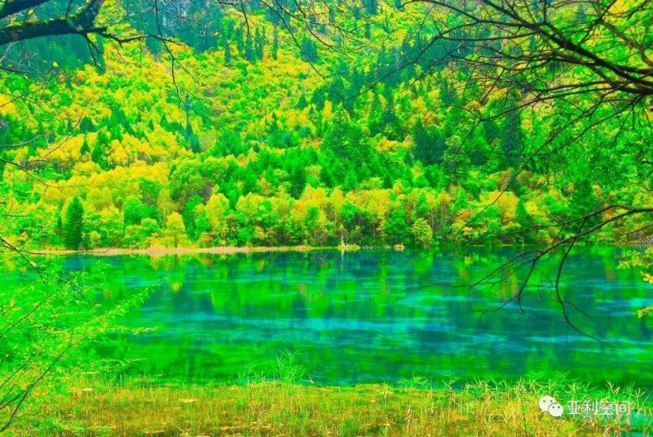 蛋糕卷掉皮是什么原因游戏画面