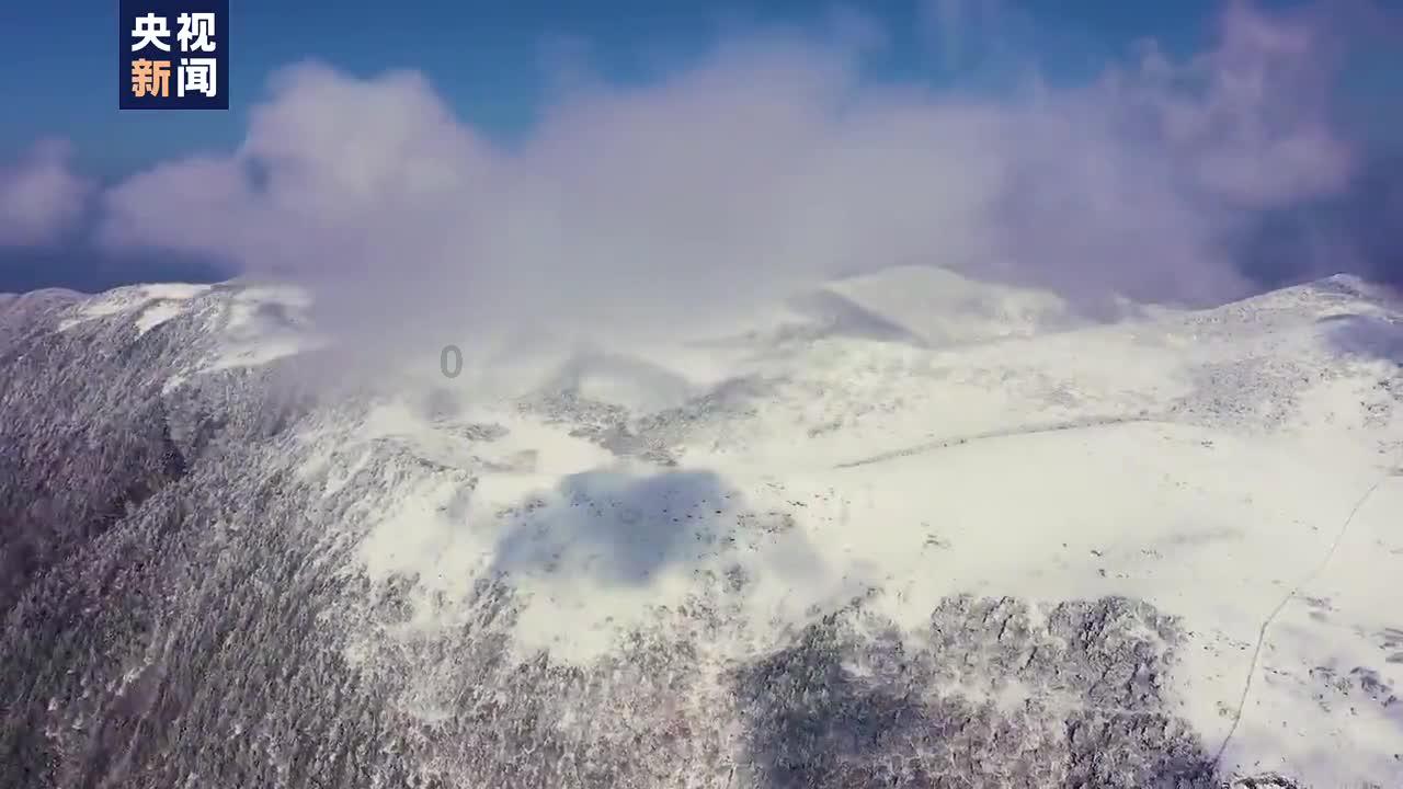 大型营救