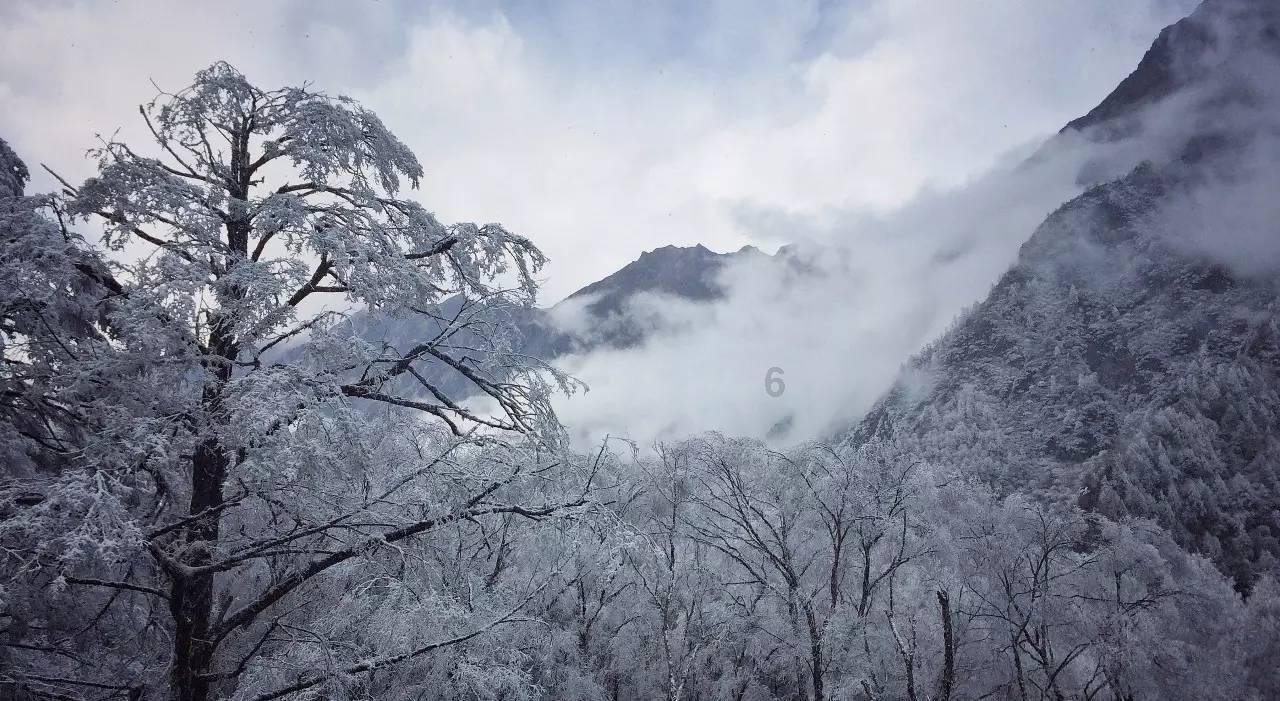 可爱小方块